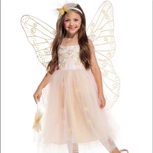 Pottery barn kids like fairy costume. Perfect for Halloween or year round.